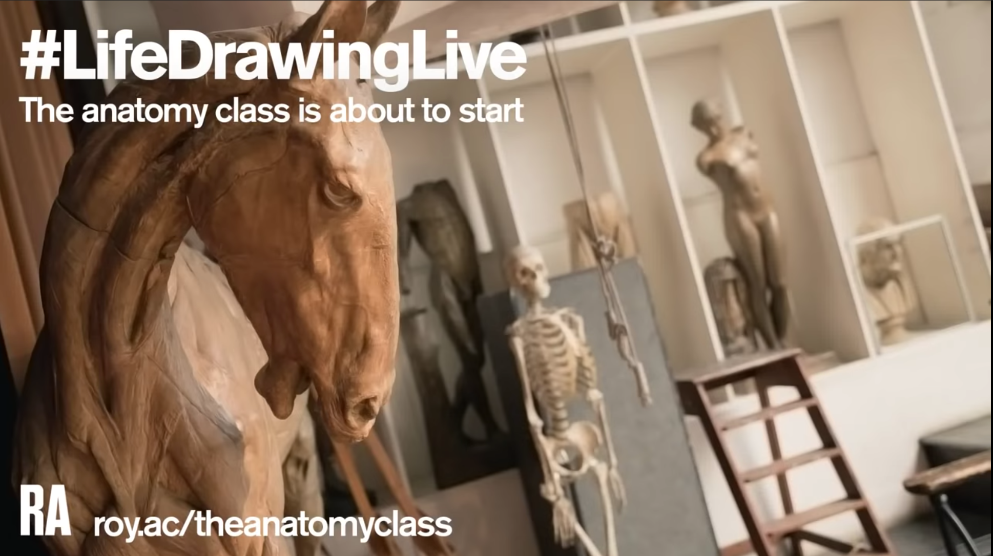 Life Drawing Class