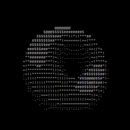 Donut ASCII output